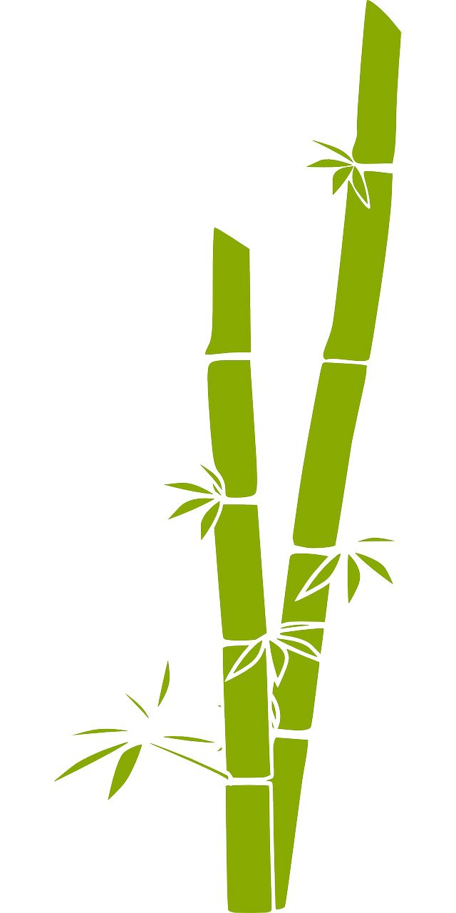 Bamboo PNG     图片编号:63770