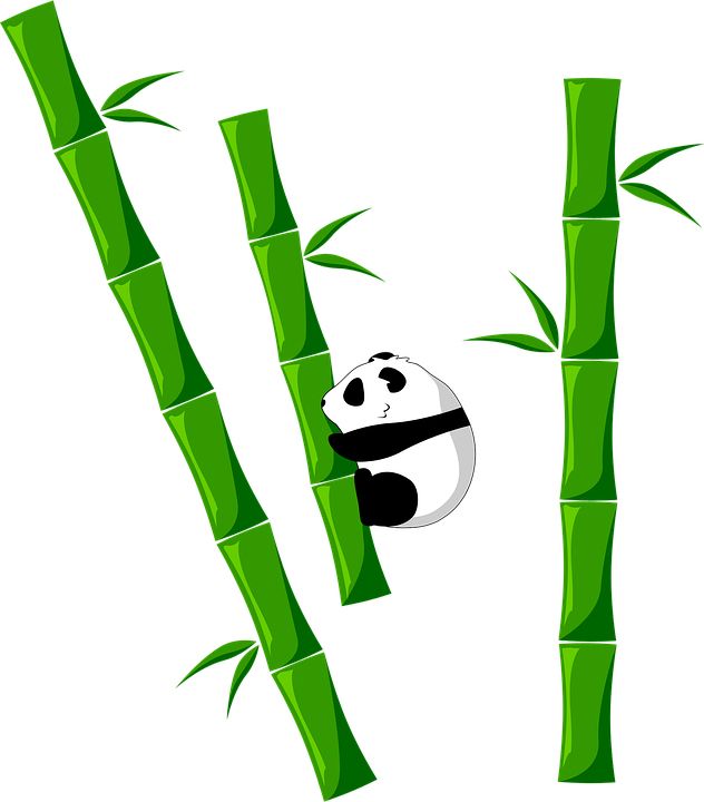 Bamboo PNG     图片编号:63773