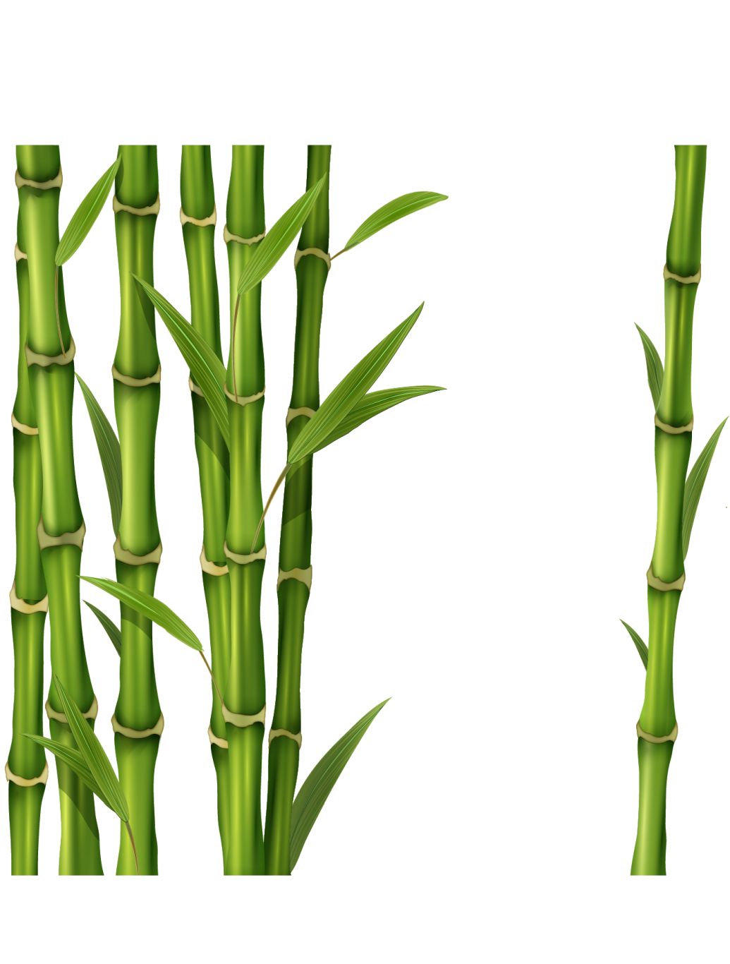 Bamboo PNG     图片编号:63778