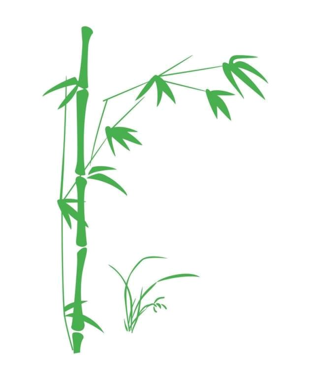 Bamboo PNG     图片编号:63786