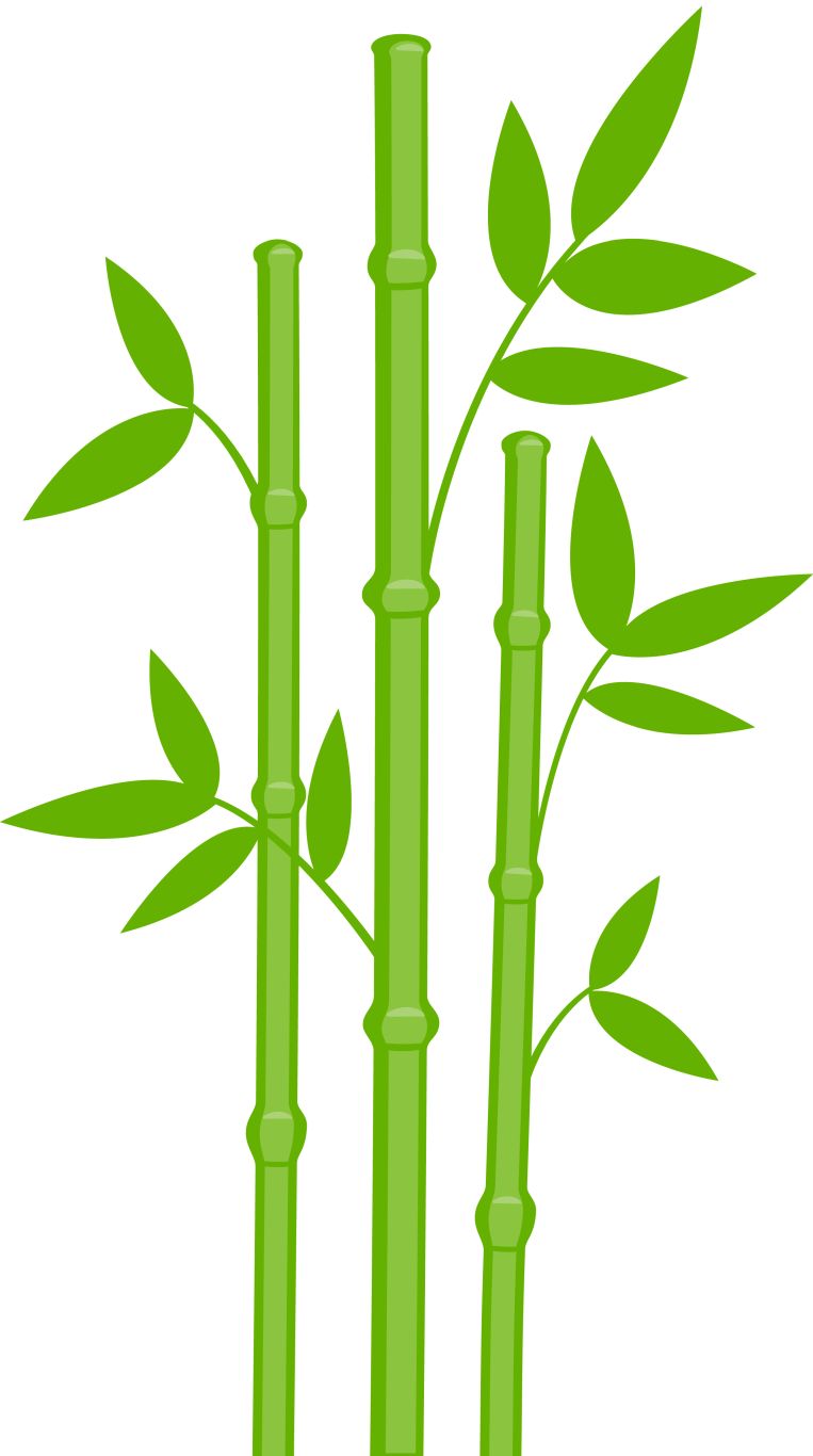 Bamboo PNG     图片编号:63797