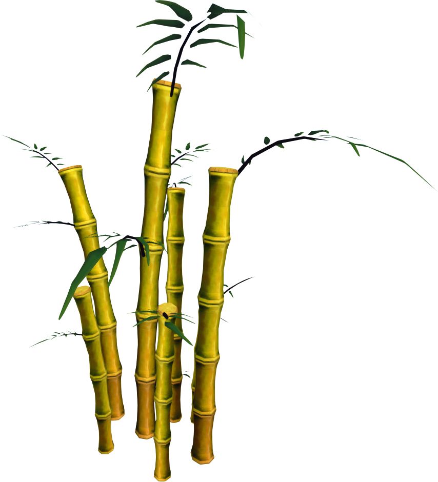 Bamboo PNG     图片编号:63798