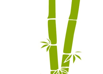 Bamboo PNG     图片编号:63804