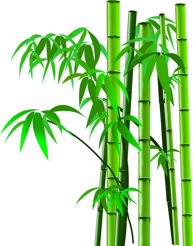 Bamboo PNG     图片编号:63814