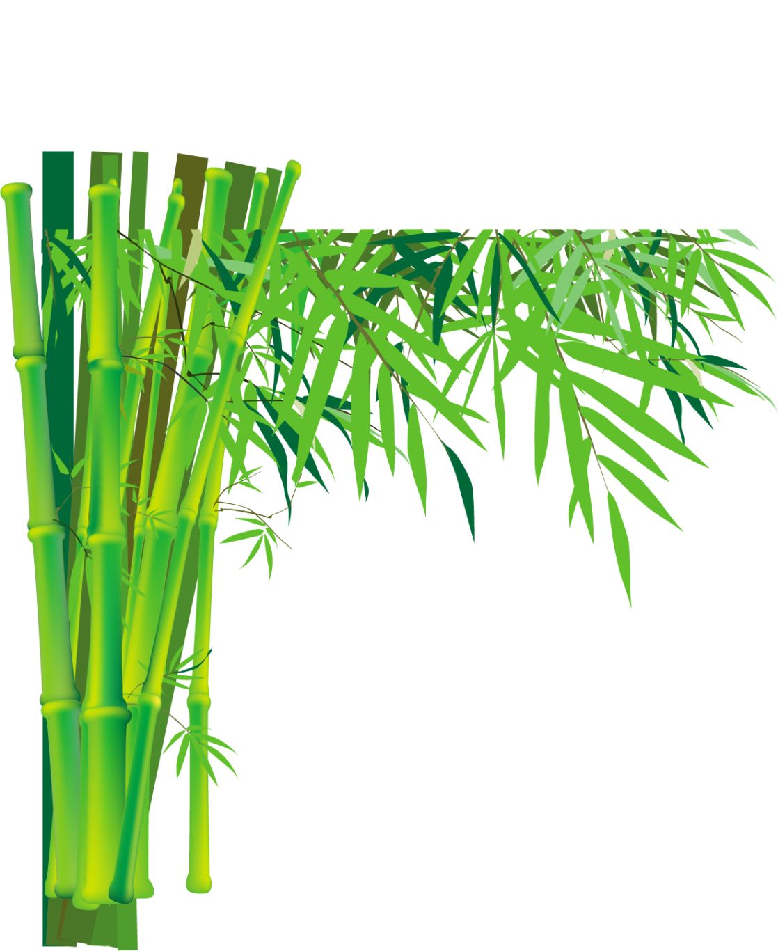 Bamboo PNG     图片编号:63816
