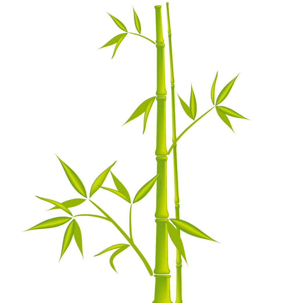 Bamboo PNG     图片编号:63817