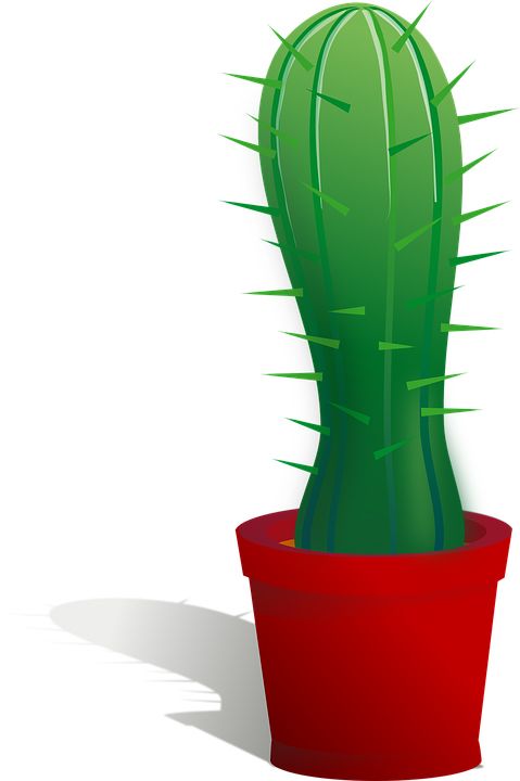 Cactus PNG image     图片编号:23633