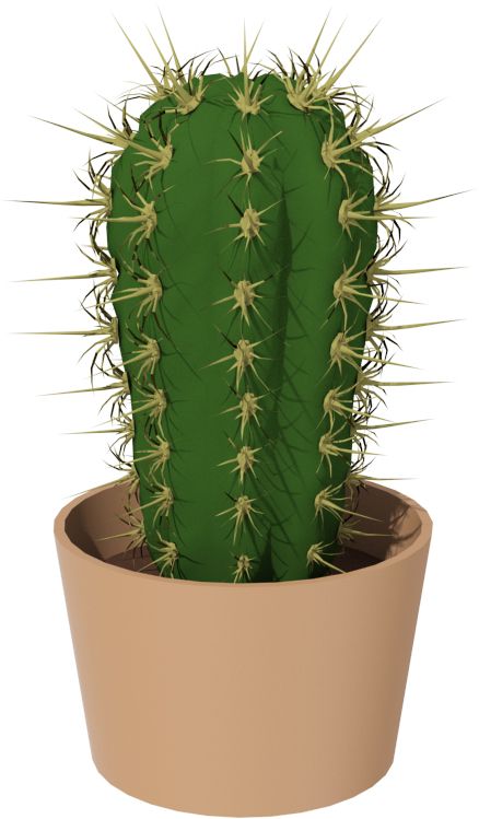 Cactus PNG image     图片编号:23643