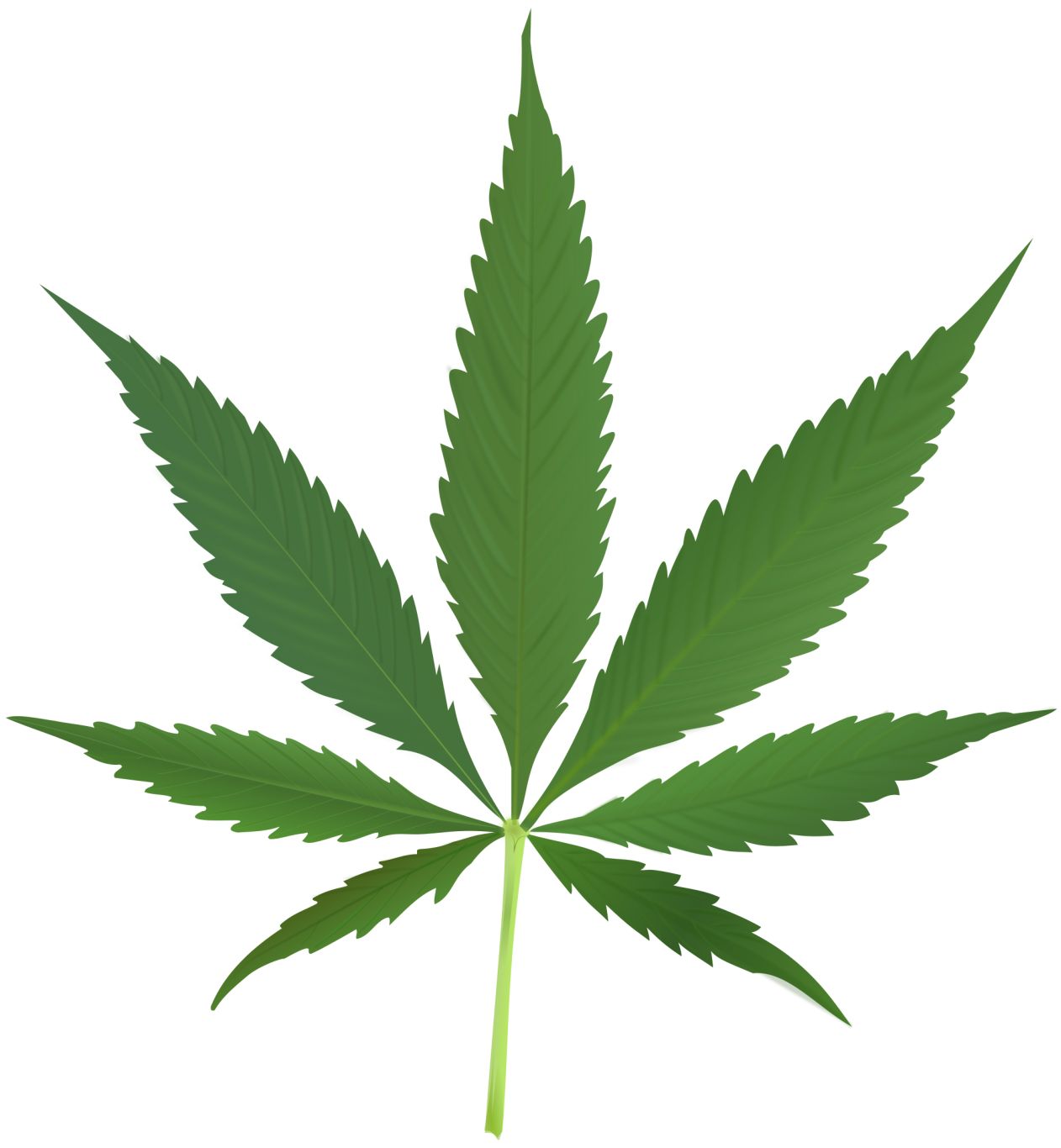Cannabis PNG     图片编号:31981