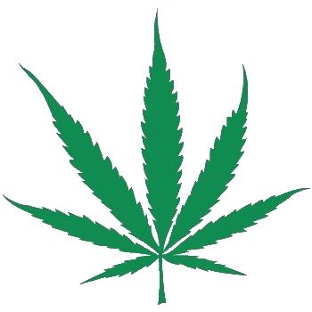 Cannabis PNG     图片编号:31987