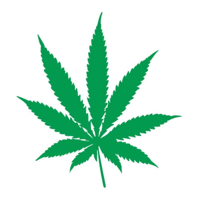 Cannabis PNG     图片编号:31998