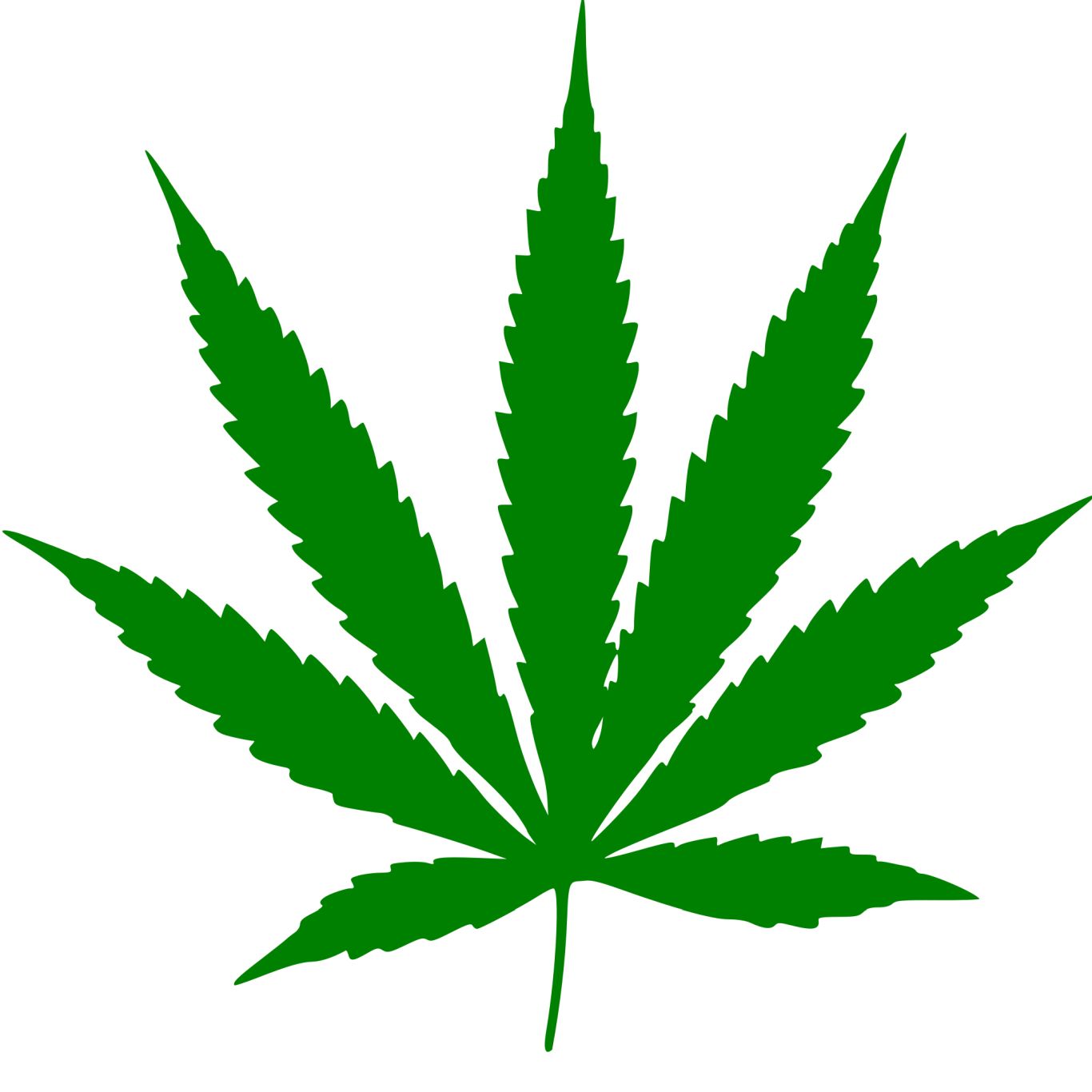 Cannabis PNG     图片编号:32004