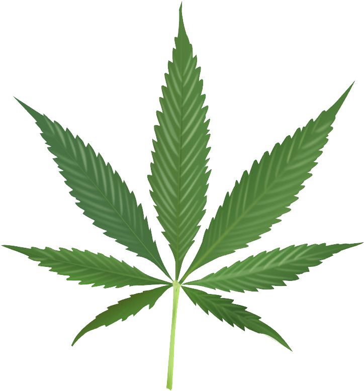 Cannabis PNG     图片编号:31970