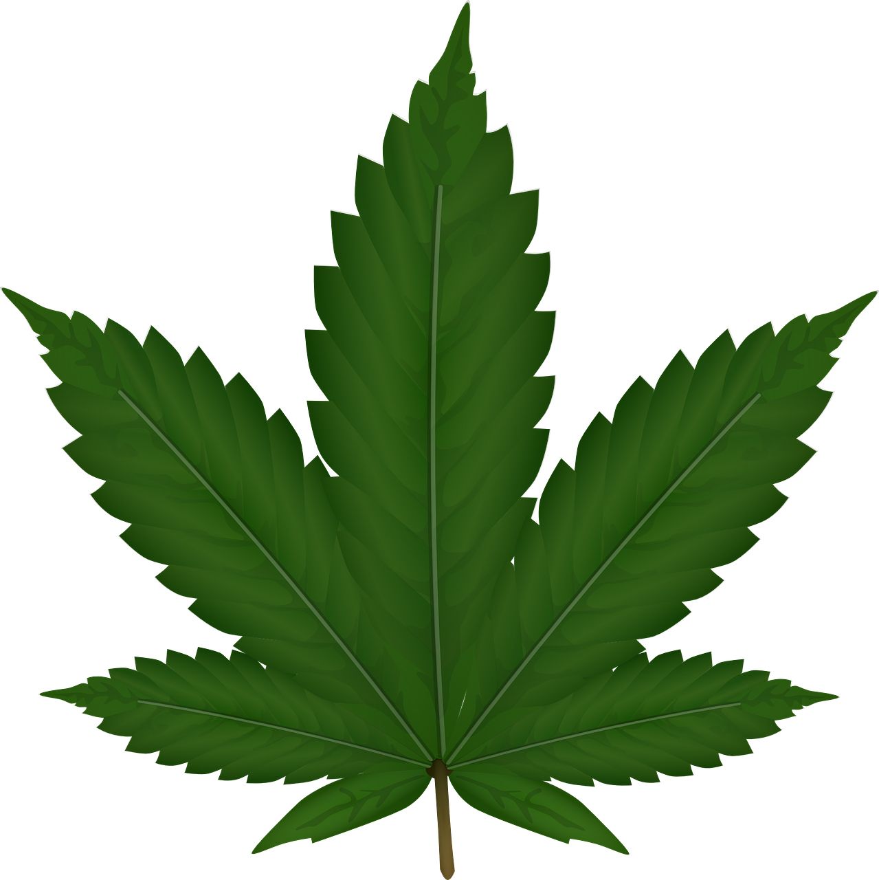 Cannabis PNG     图片编号:32007