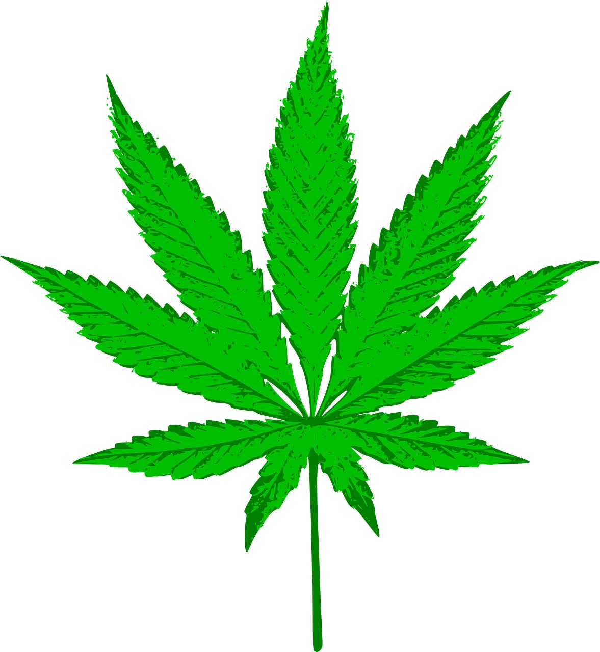 Cannabis PNG     图片编号:32009