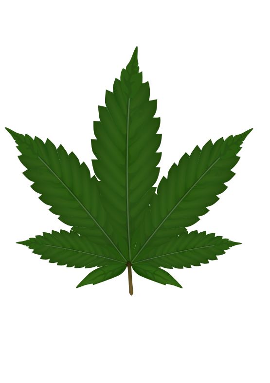 Cannabis PNG     图片编号:32011