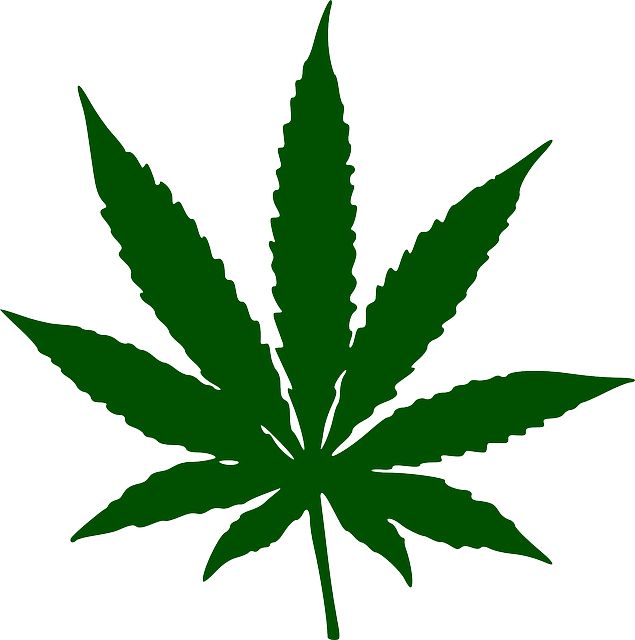 Cannabis PNG     图片编号:32025