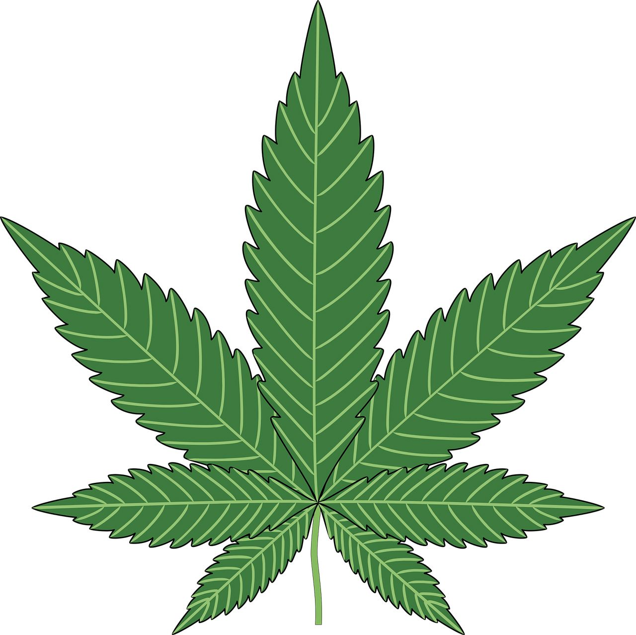 Cannabis PNG     图片编号:32034