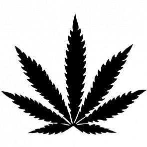 Cannabis PNG     图片编号:32040