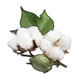 Cotton PNG     图片编号:43245