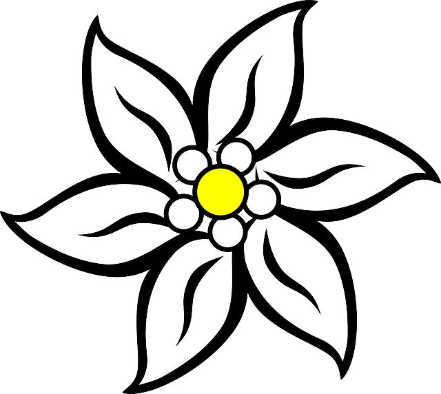 Edelweiss PNG     图片编号:66292