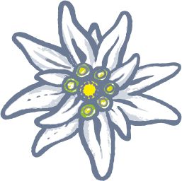 Edelweiss PNG     图片编号:66293