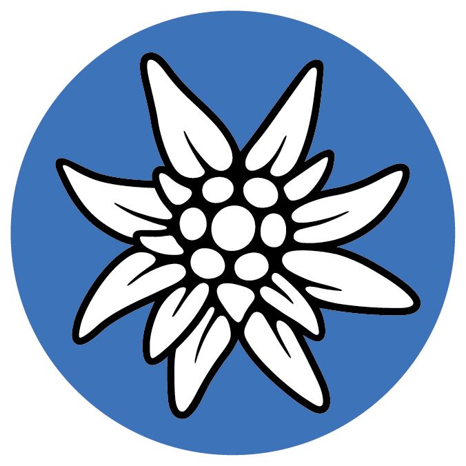 Edelweiss PNG     图片编号:66281