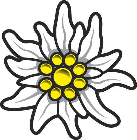 Edelweiss PNG     图片编号:66287