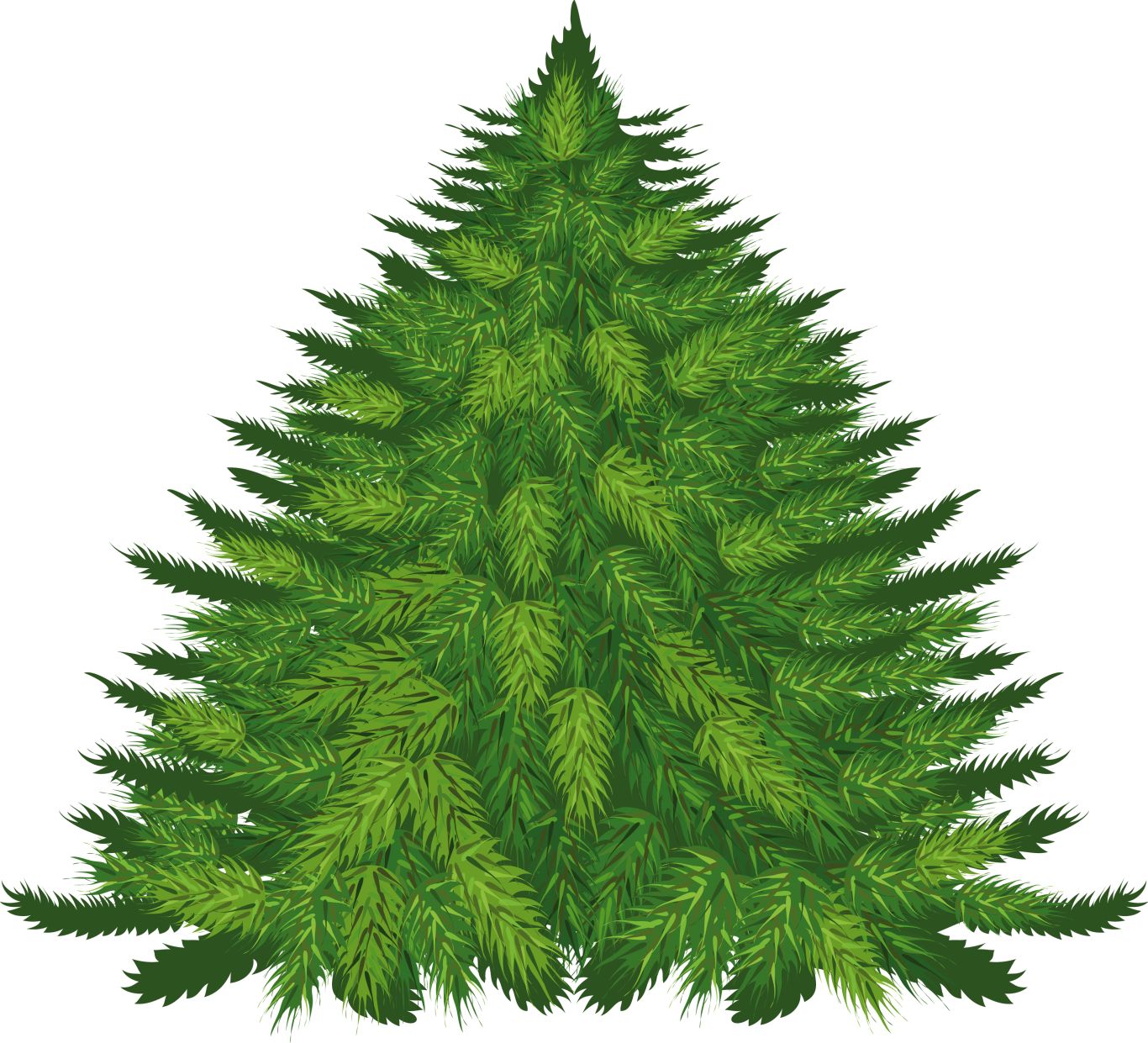 Fir-tree PNG image     图片编号:2511