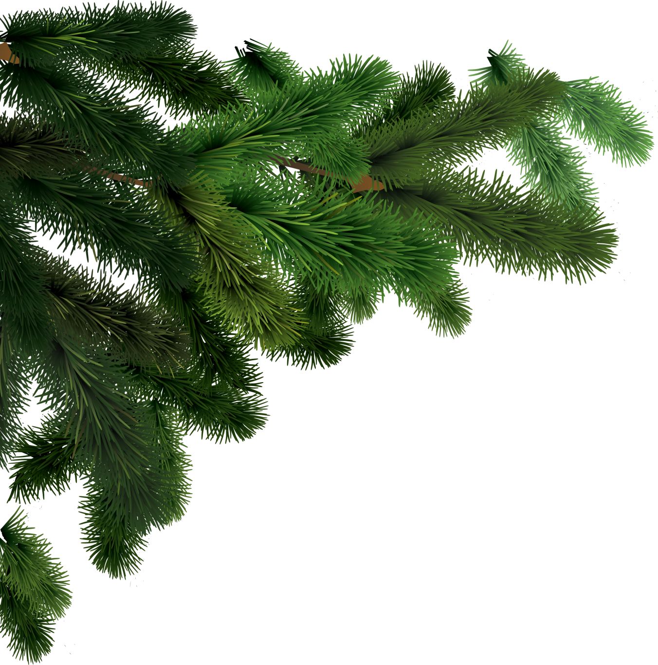 Fir-tree PNG image     图片编号:3686