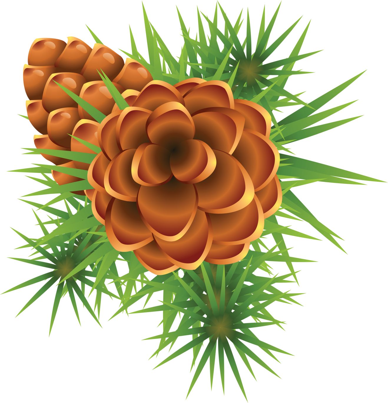 Fir-tree PNG image     图片编号:3697