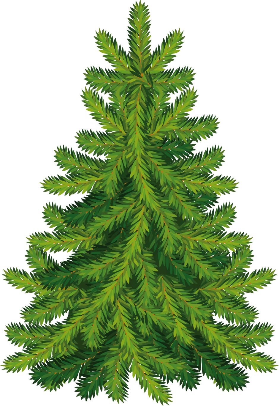 Fir-tree PNG image     图片编号:3724