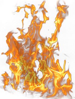 Fire PNG image     图片编号:6022