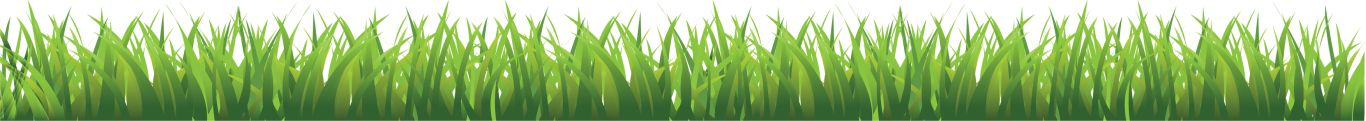 grass png image, green grass PNG picture     图片编号:10853