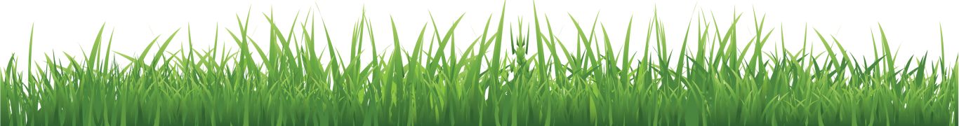 grass png image, green grass PNG picture     图片编号:10854