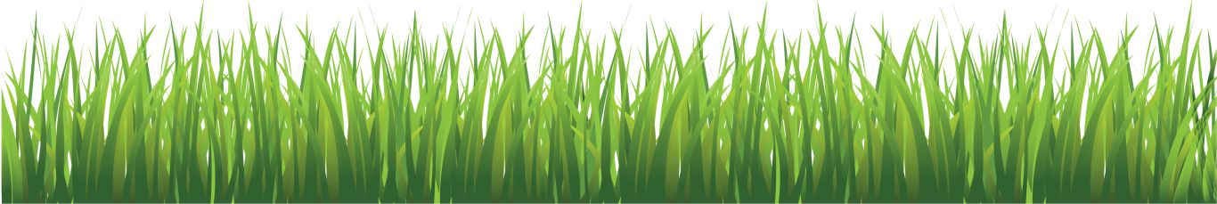 grass png image, green grass PNG picture     图片编号:10855