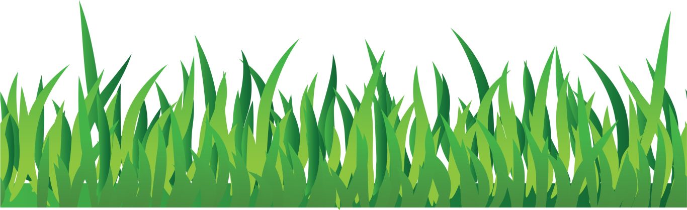 grass png image, green grass PNG picture     图片编号:10856