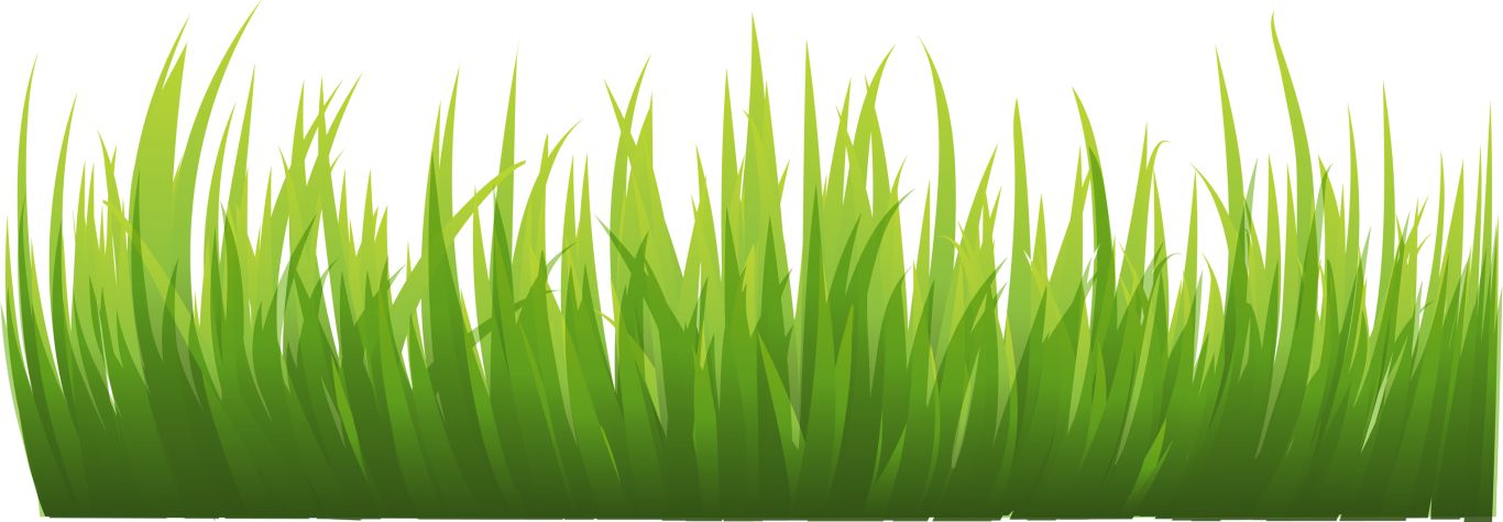 grass png image, green grass PNG picture     图片编号:10857