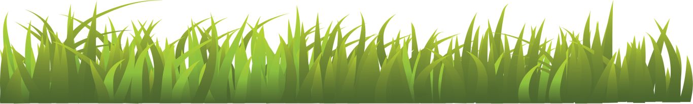 grass png image, green grass PNG picture     图片编号:10858