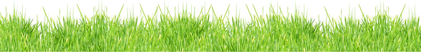 grass png image, green picture     图片编号:393