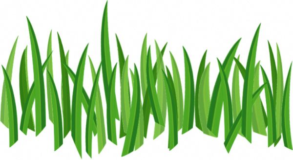 grass png image, green picture     图片编号:399