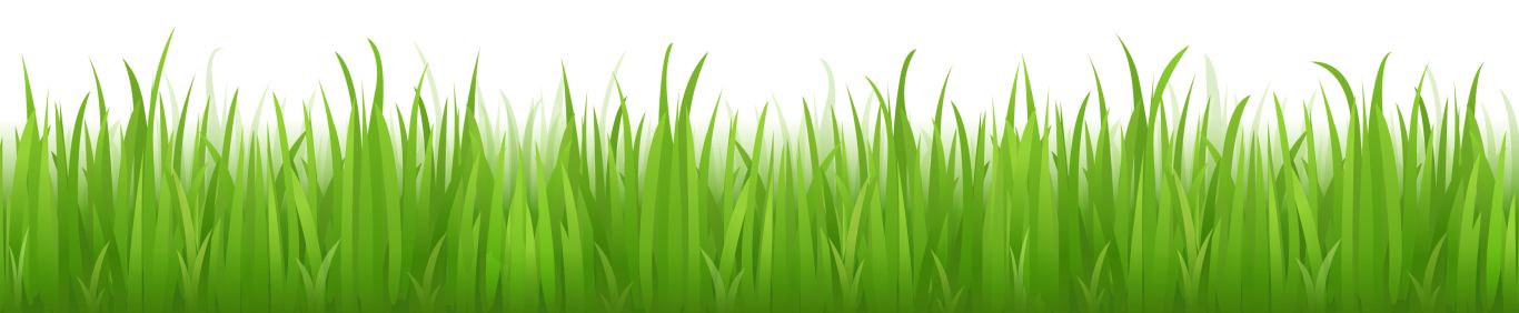 grass png image, green picture     图片编号:401