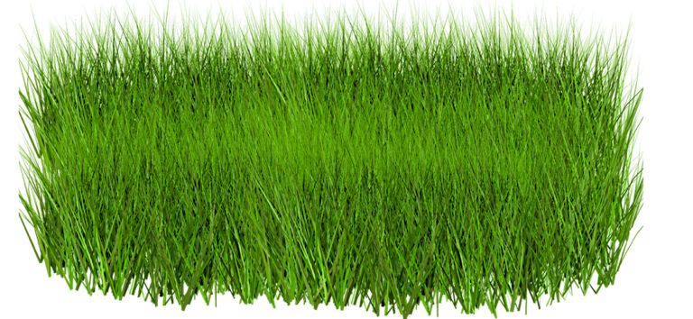 grass png image, green picture     图片编号:419