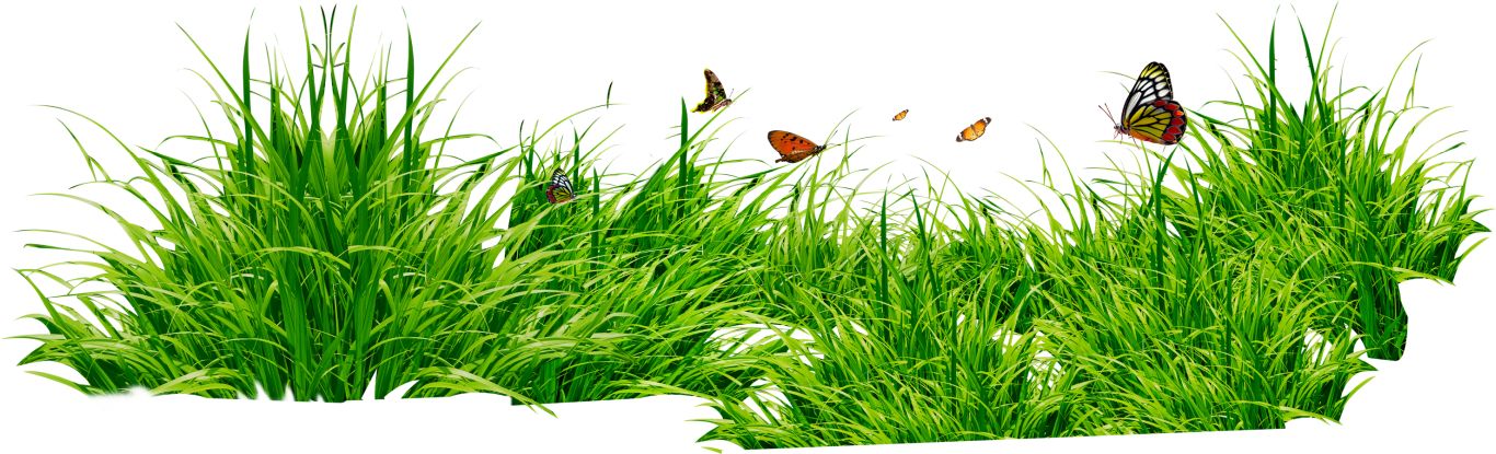 grass png image, green grass PNG picture     图片编号:4919