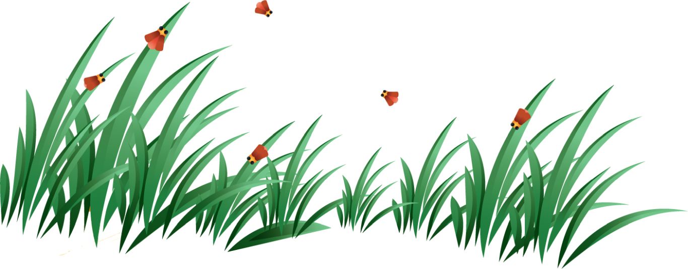 grass png image, green grass PNG picture     图片编号:4923