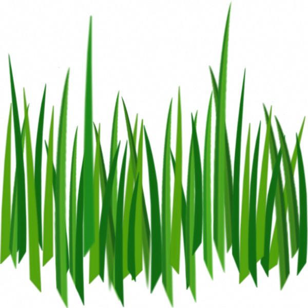 grass png image, green grass PNG picture     图片编号:4924