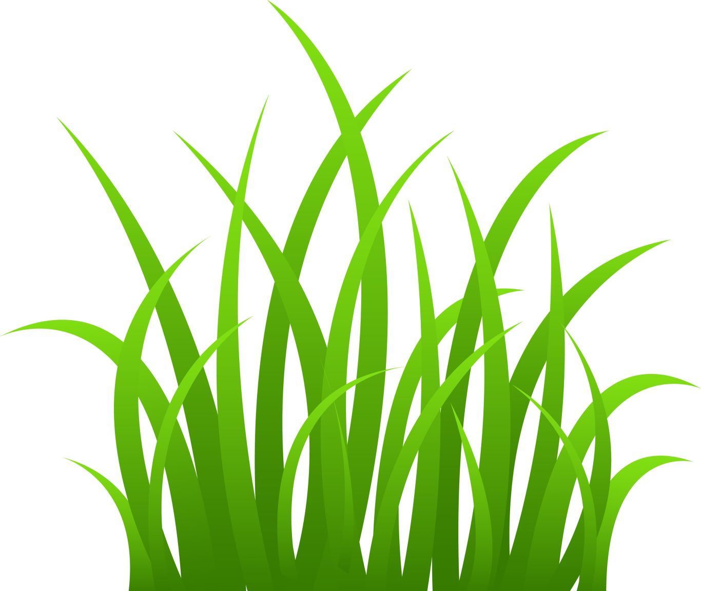 grass png image, green grass PNG picture     图片编号:4928