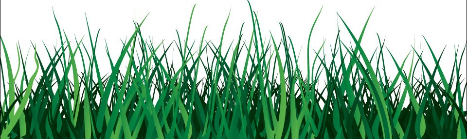 grass png image, green grass PNG picture     图片编号:4929