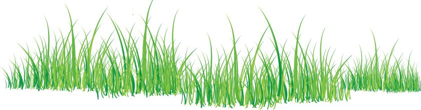 grass png image, green grass PNG picture     图片编号:4931