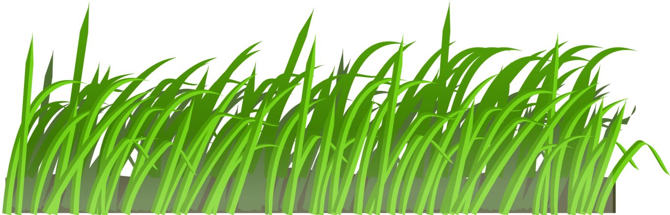 grass png image, green grass PNG picture     图片编号:4932